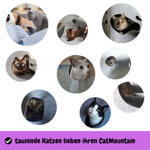 CatMountain® | 2 in 1 | Interaktives Katzenspielzeug