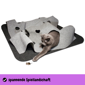 CatMountain® | 2 in 1 | Interaktives Katzenspielzeug