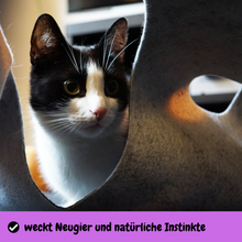 Laden Sie das Bild in den Galerie-Viewer, CatMountain® | 2 in 1 | Interaktives Katzenspielzeug