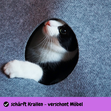 Laden Sie das Bild in den Galerie-Viewer, CatMountain® | 2 in 1 | Interaktives Katzenspielzeug