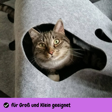 Laden Sie das Bild in den Galerie-Viewer, CatMountain® | 2 in 1 | Interaktives Katzenspielzeug