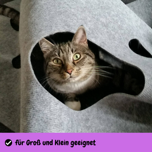 CatMountain® | 2 in 1 | Interaktives Katzenspielzeug